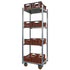 Deense Plantenkar met 3 Verstelbare Planken – 715x565x1900mm, Gegalvaniseerd Stalen Frame